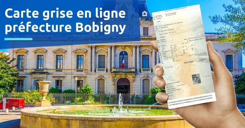 Pref Naturalisations Declaration Seine Saint Denis Gouv Fr